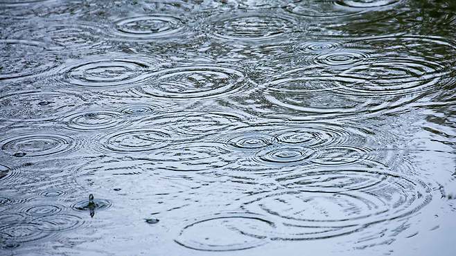 [전주MBC 자료사진]