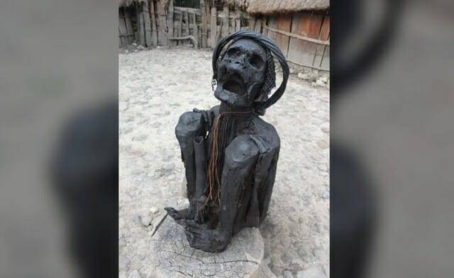 인도네시아 파푸아의 다니족이 남긴 현대식 건조 미라 (출처=마츠무라 히로후미와 Hsiao-chun Hung)