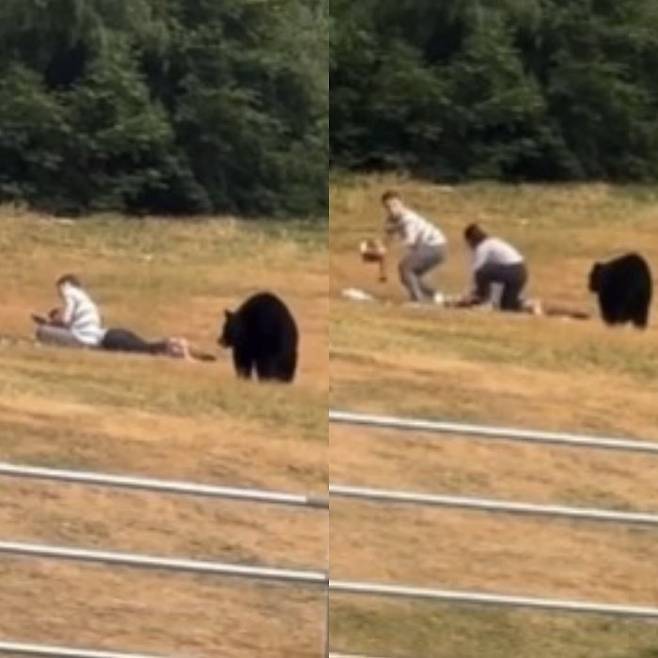 캐나다 밴쿠버 인근 공원에서 흑곰이 시민들 앞에 나타나 아찔한 상황이 벌어졌다. 영상 확산 후 당국의 안락사 조치가 논란을 낳고 있다. X 갈무리