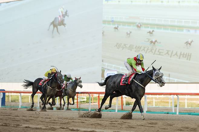 즐거운여정. 사진=한국마사회
