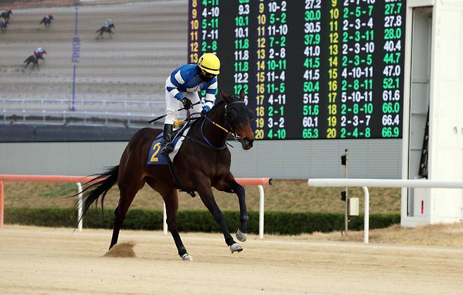 판타스틱밸류. 사진=한국마사회