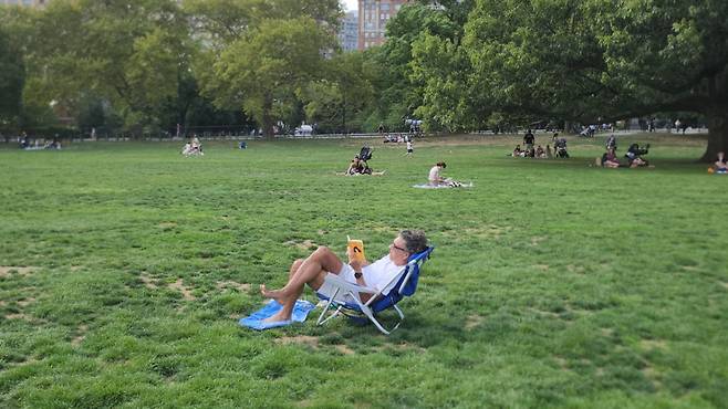 뉴욕 맨헤튼 센트럴 파크에서 독서하는 미국 백인 남성/사진=송정현 기자