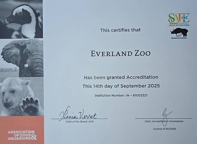 에버랜드 아자 인증서