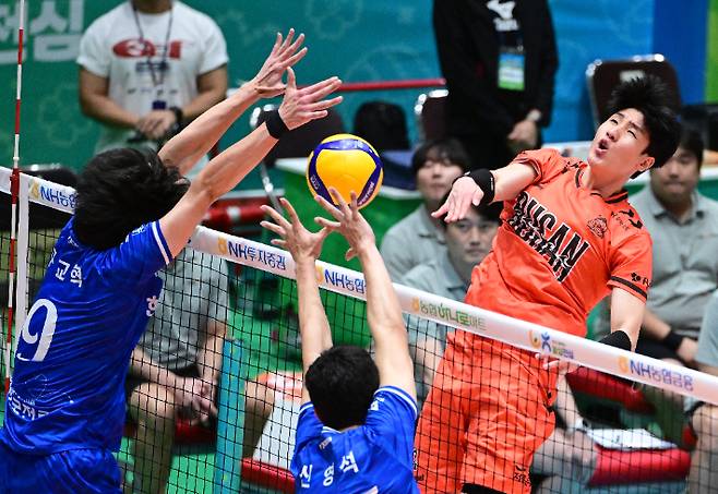 한국전력과 OK저축은행의 컵대회 준결승. 한국배구연맹