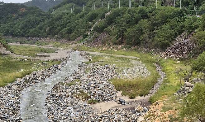 19일 강원 강릉시 오봉저수지 일대에 단비가 내리고 있다. 최근 내린 비로 오봉저수지 저수율이 30%까지 육박하면서&nbsp;강릉시는 이날 오후 6시부터 시간제 제한 급수를 전격해제했다. 강릉=연합뉴스
