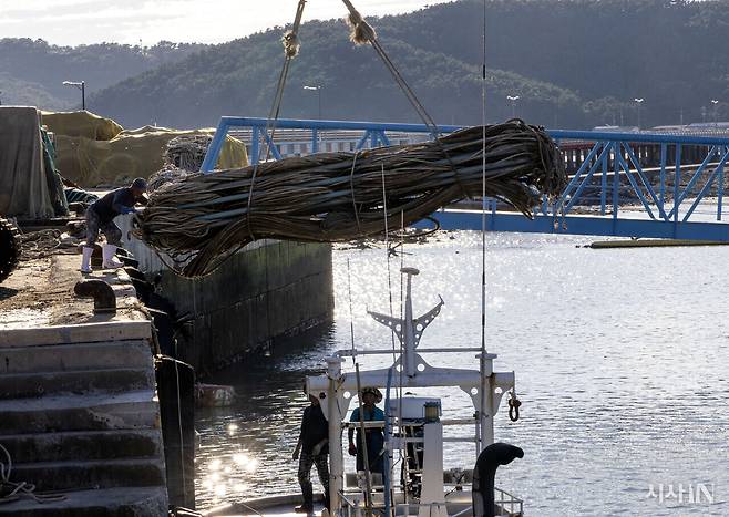 연평항에서 작업자들이 중장비로 닻자망 시설물을 배에 싣고 있다. ⓒ시사IN 조남진