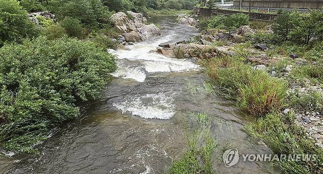 오봉저수지 저수율 올라 [연합뉴스 자료사진]