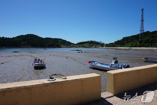 대육마을 앞 갯벌 풍경. 건너편이 대마 2구 대막마을이다. 2025.9.19/뉴스1 ⓒ News1 조영석 기자