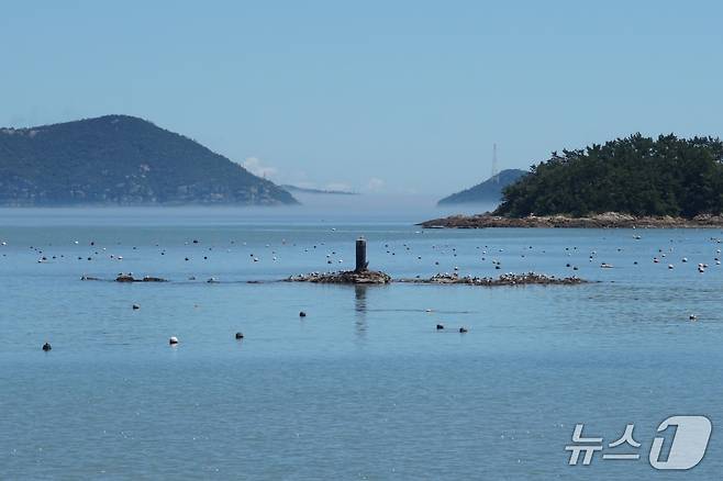 선착장 앞 바다의 암초 '오복여'. 이름과 달리 주민들에게 두려움의 대상이었다.2025.9.19/뉴스1 ⓒ News1 조영석 기자