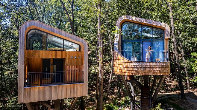 수락 휴 트리하우스는 복층형 구조로 꾸며놓았다. 나무 위 새의 시선으로 바라보면 숲이 새롭게 보인다. / 이신영 영상미디어 기자