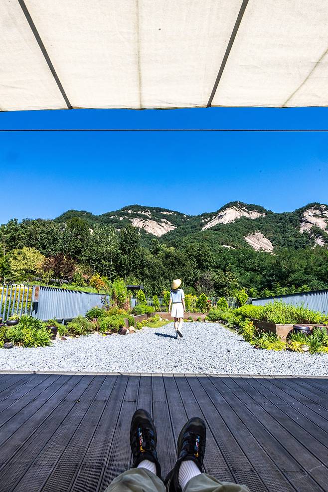 휴양지 리조트에서 쉬는 듯 선배드에 누워 '산멍'을 즐길 수 있는 '불암산 산림 치유센터'의 옥상. / 이신영 영상미디어 기자