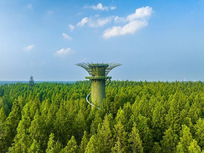 옌청의 황하이센린공원은 중국에서 가장 넓은 인공 숲이다. 가운데 우뚝 솟은 전망 타워는 숲 전체를 조망할 수 있는데 바닥이 유리라 40m 발밑 풍경에 다리가 오싹해지기도 한다. 씨티항공여행사 제공