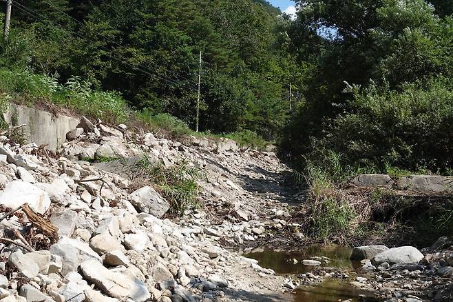 2025년 9월10일 강원도 강릉 왕산면 한 소하천에 임도 산사태로 쏟아진 토석이 쌓여 있다. 이 소하천은 오봉저수지의 수원인 왕산천으로 흘러든다. 김양진 기자