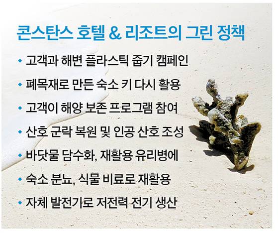 그래픽=정수경 기자 jung.suekyoung@joins.com