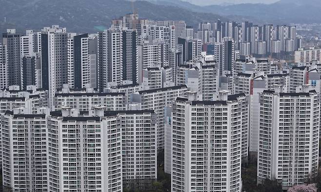 경기 과천 시내 아파트 단지들의 모습. 뉴스1