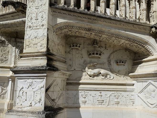 블루아성 프랑수아 1세 건물 외벽 도룡뇽 문장.