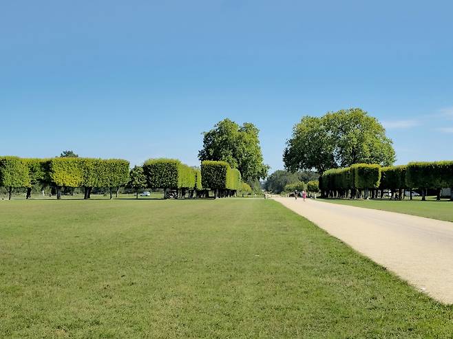 샹보르성 정원.