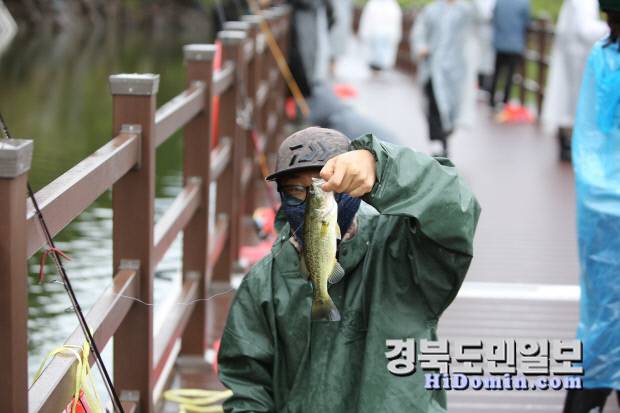 빗속에서도 조사들이 배스 낚시에 몰두하고 있다.사진=유재영 기자