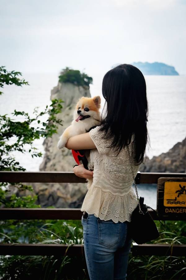 반려동물과 함께하는 웰니스 관광지 외돌개.