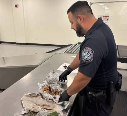 불법 식물과 담배 등과 함께 싸여있던 유해(뉴욕포스트 갈무리)