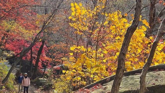 지난해 가을 서울 북한산에서 등산객들이 단풍 산행을 즐기고 있다.ⓒ연합뉴스