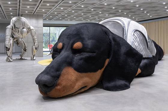 탬버린즈의 퍼퓸 컬렉션인 낮잠을 자는 거대한 강아지 ‘선샤인’ 조형물. 사진 아이아이컴바인드