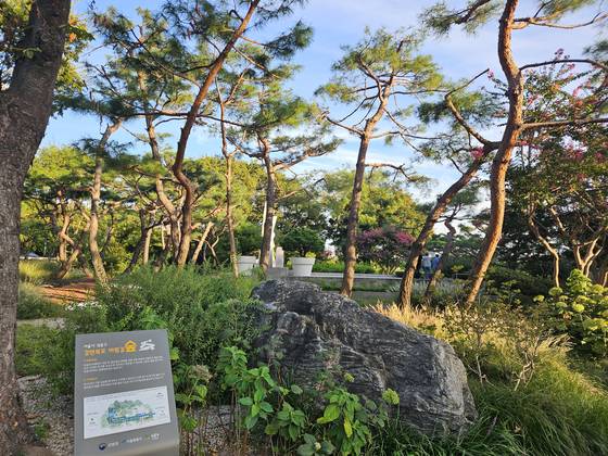 강변북로 성수대교 북단 바람길숲 모습. 사진 서울시