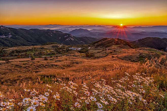 합천 황매산 억새 절경. 합천군 제공