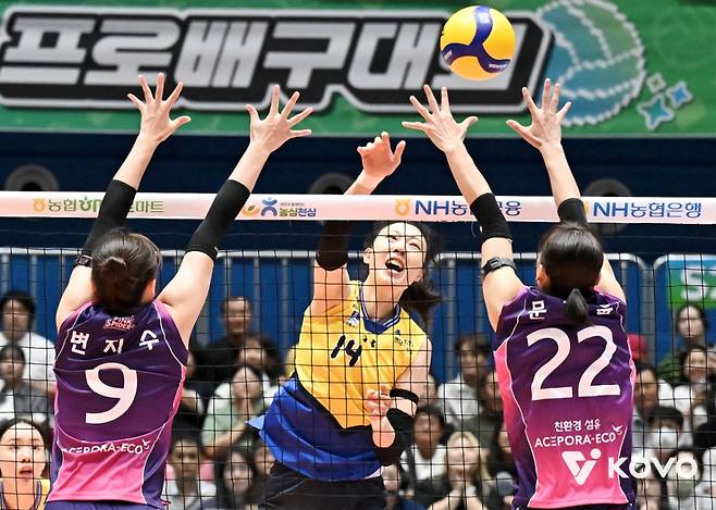 21일 전남 여수 진남체육관에서 열린 2025 여수·NH농협 프로배구대회 여자부 첫 경기 현대건설과 흥국생명의 경기 모습. /사진=한국배구연맹(KOVO) 제공