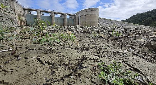 강릉의 갈 길 먼 해갈 (지난 14일 오봉저수지) (강릉=연합뉴스) 유형재 기자 = 최악의 가뭄으로 식수난을 겪는 강원 강릉지역에 지난 13일 황금과도 같은 단비가 내려 시민들의 목은 축였지만, 아직 해갈까지는 갈 길이 멀다. 2025.9.14 yoo21@yna.co.kr