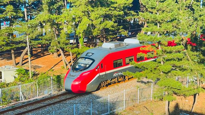 동해선 ITX-마음이 강릉 등명해변 솔밭 사이를 지나고 있다.