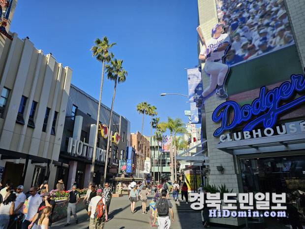 돌비극장앞 거리.