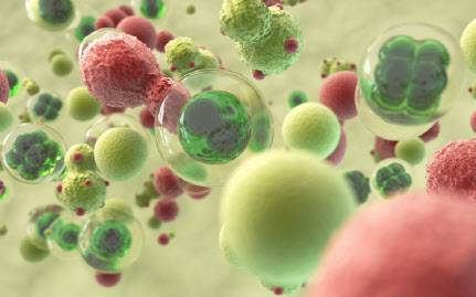 (사진=게티이미지)