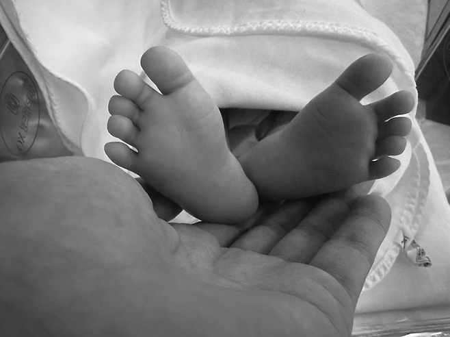 현빈 손에진 부부의 첫아들 ‘알콩이’ 모습. 사진|손예진SNS