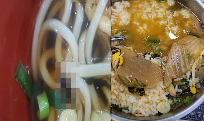 우동 속 귀뚜라미, 국밥 속 노끈./정희용 의원실