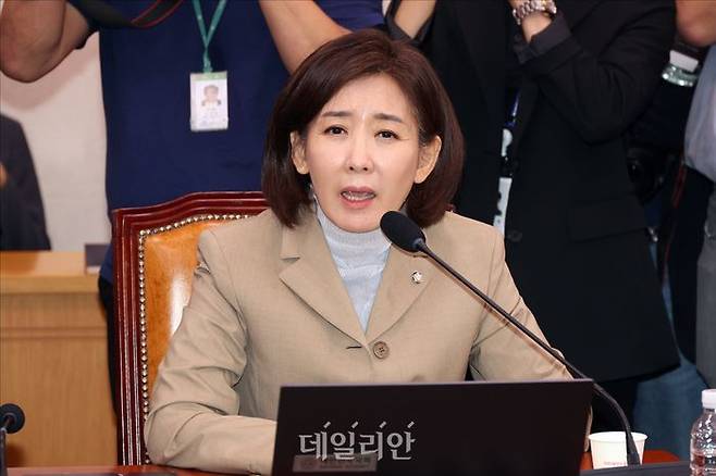 나경원 국민의힘 의원 ⓒ데일리안 홍금표 기자