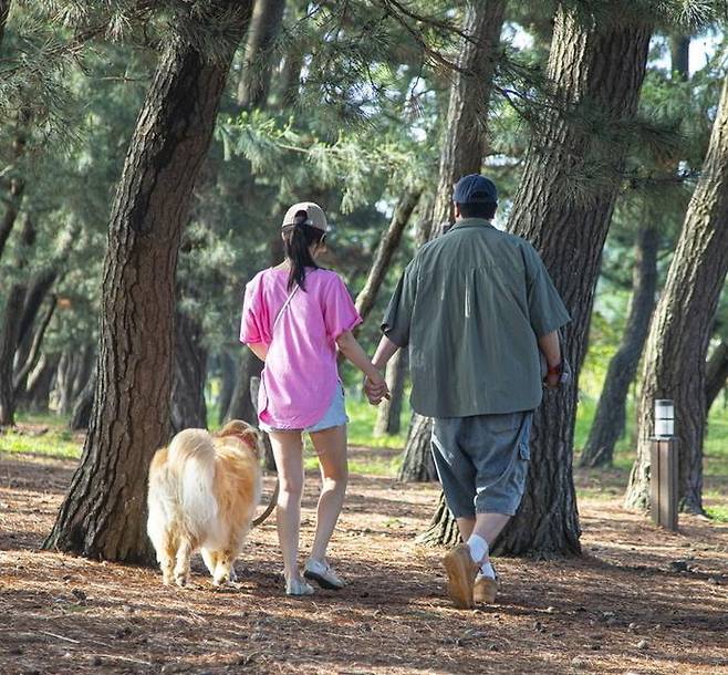 경기 화성시 ‘궁평오솔로파크’ 해변 언덕에서 반려인 2명이 반려견을 산책시키고 있다. 이 주변에 심어진 소나무는 수령이 100년을 넘는다. 경기관광공사 제공