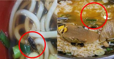 우동에서 발견된 귀뚜라미(왼쪽)과 국밥에서 발견 된 노끈./사진=정희용 의원실 제공