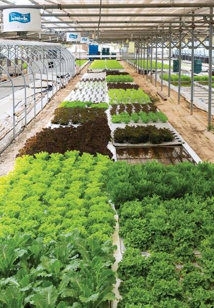 경남 사천에 있는 정해용-임아람 부부의 농장 ‘그로운’. 박해윤 기자&nbsp;