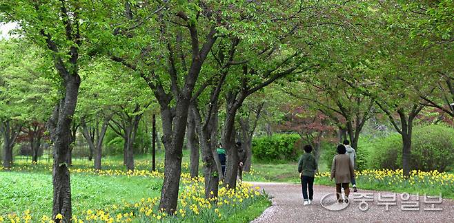 인천시 서구 수도권매립지 드림파크 야생화 단지를 찾은 시민들이 공원을 산책하며 휴일을 보내고 있다.정선식기자