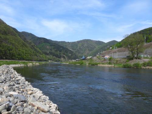 ◇정선군이 남한강 상류 생물 다양성 보전을 위한 기초자료 연구용역 도중 골지천 일원에서 환경부 지정 멸종위기종인 염주알 다슬기 집단 서식이 확인돼 관심을 모으고 있다. <사진제공=(주)케이에코>