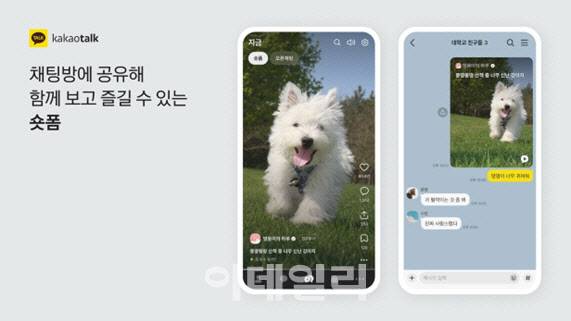 <BR>카카오톡 세번째 탭이 지금탭으로 바뀌어 숏폼 영상을 함께 보고 즐길 수 있다.<BR>(사진=카카오)