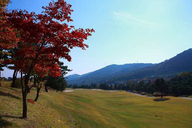 가야CC 전경. (한국골프장경영협회 제공)