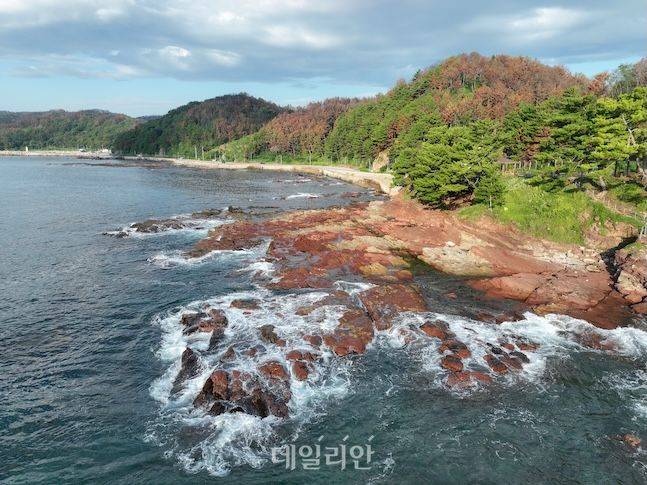 영덕 지질공원 트레킹의 시작점인 경정리 해안. 약 1억년 전 공룡들이 살았을 당시 하천에서 형성된 다양한 암석들을 볼 수 있다. ⓒ데일리안 배군득 기자