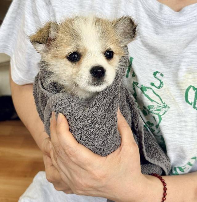 눈빛이 어쩜 이리 맑고 사랑스러울까요!?