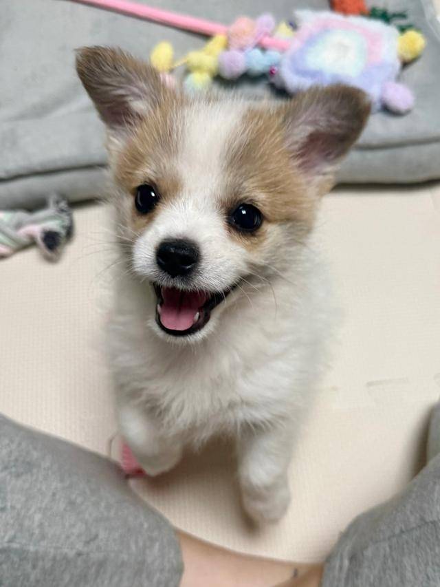 테라피스트가 따로 없음❤️