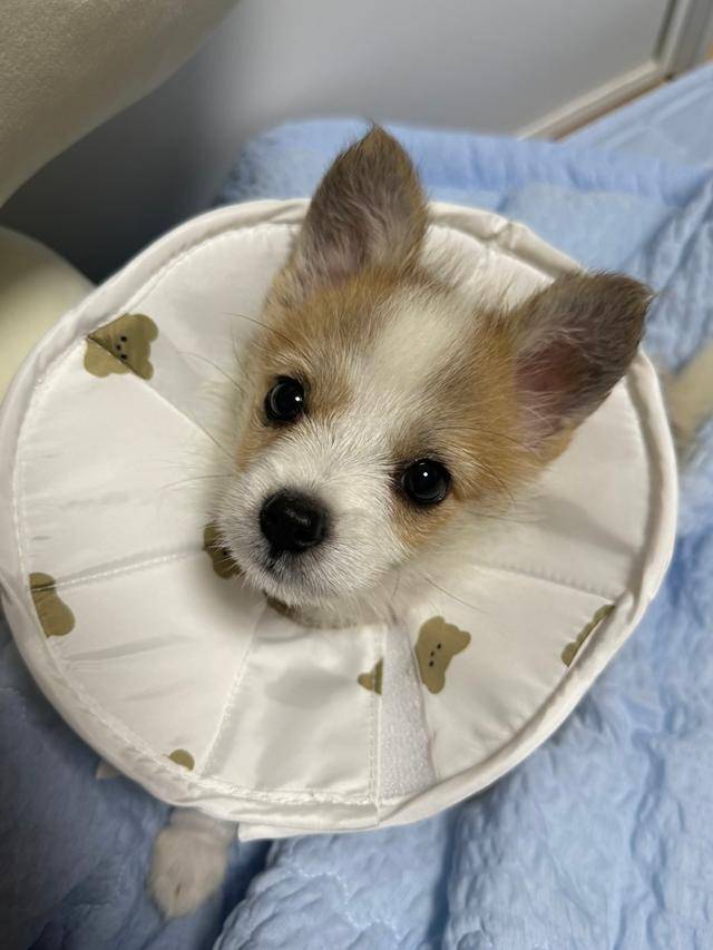 다 나아서 기특해!!