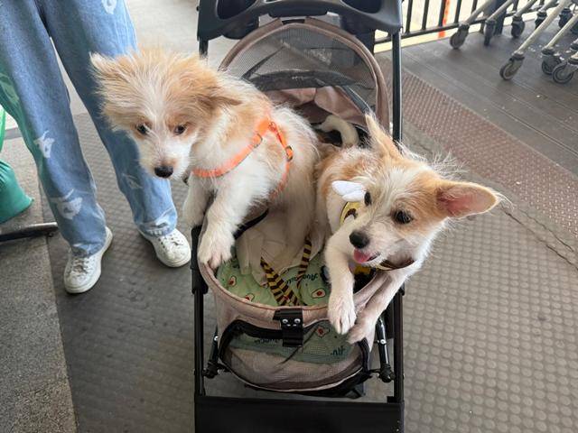 모두들 건강하게 잘 살다가 다시 만나개~