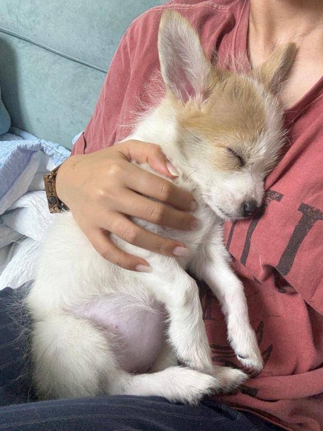 망고야 우리 건강하고, 행복하게 오래 함께 하자