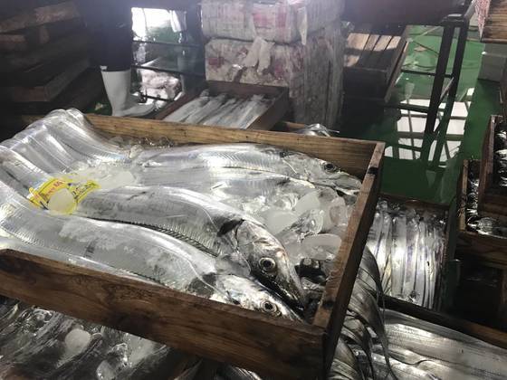 제주도내 한 어시장에 올라온 은갈치들. 최충일 기자